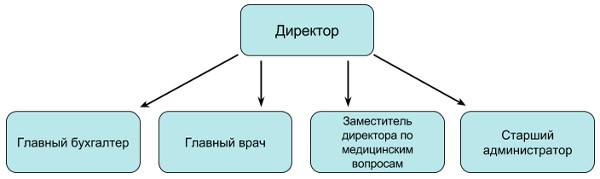 Структура управления ООО МЦ Диагноз Структура управления ООО МЦ Диагноз